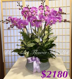 Table arrangement - Premium CODE 63794